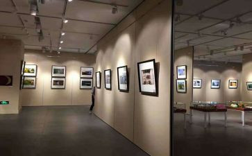画展心得体会6篇