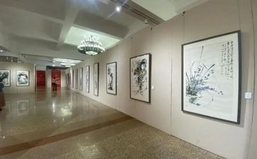 书画展的观后感5篇