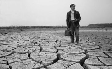 《野性的呼唤》读后感500字5篇