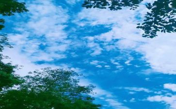 回忆作文600字最新7篇