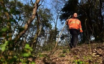 护林员个人总结推荐8篇