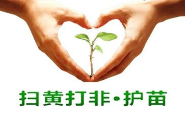 家庭护苗行动心得体会8篇