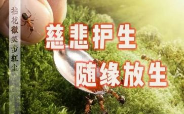 2023珍爱生命呵护生命观后感6篇
