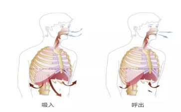 呼吸读后感5篇