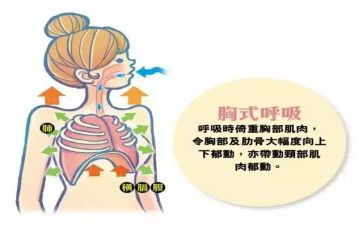 2024年呼吸内科护士工作计划5篇