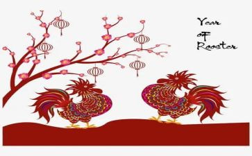 小鸡与蛋教案通用5篇
