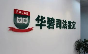 司法鉴定所工作总结6篇