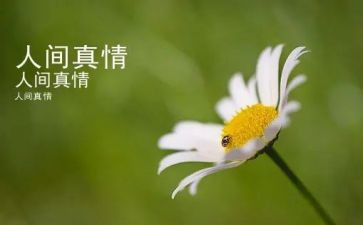 真情的作文优秀5篇