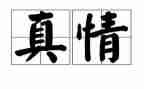 真情的作文400字精选5篇