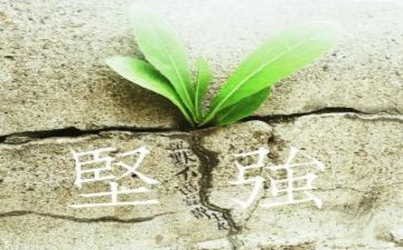 学会坚强作文800字8篇