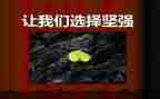 让我更坚强作文7篇