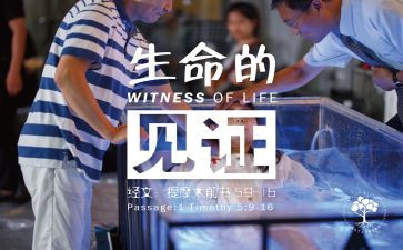 历史的见证作文6篇