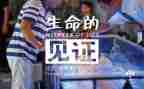 历史的见证作文6篇