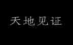 我见证了历史作文5篇