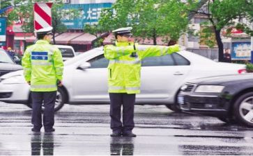 交警的半年工作总结8篇