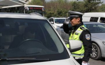 交警队工作总结7篇