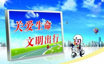 关于交通教育的心得体会7篇
