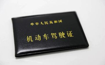 审驾照心得体会优质8篇