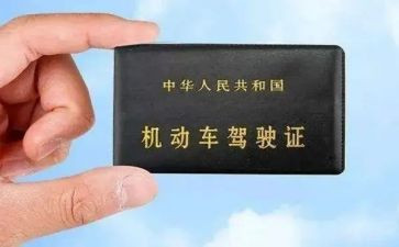 审驾照心得体会7篇