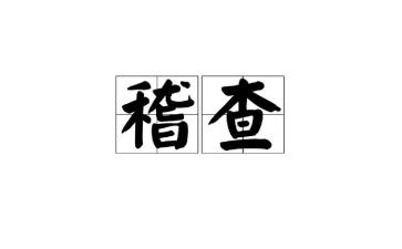 2024年稽查员工作月总结5篇