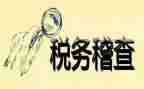 稽查员的演讲稿5篇