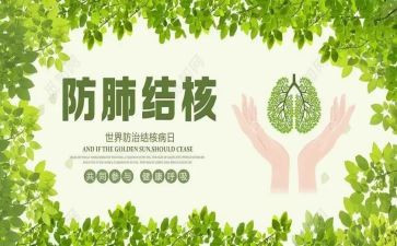 村结核病工作计划8篇