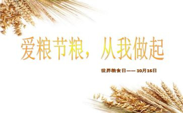 节粮演讲稿8篇
