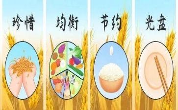 青春节粮活动总结模板8篇