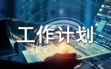 计划员工作总结5篇
