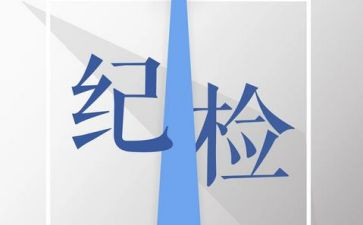 系纪检部工作总结最新5篇