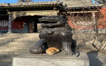 参观晋祠的观后感参考6篇