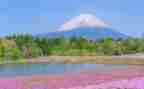 写自然景的作文600字通用8篇