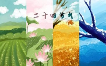 幼儿园节气活动总结总结8篇