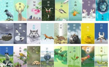 幼儿园节气活动方案5篇