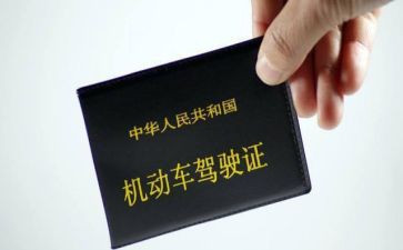 出租京牌合同范本8篇