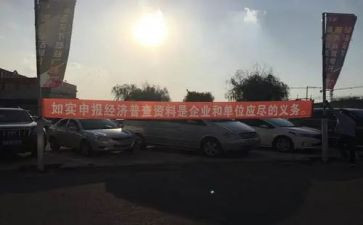 调研经普工作总结模板7篇