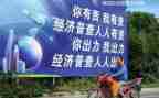 调研经普工作总结5篇