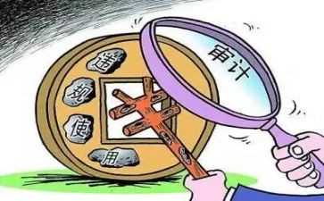 经责审计工作总结最新5篇