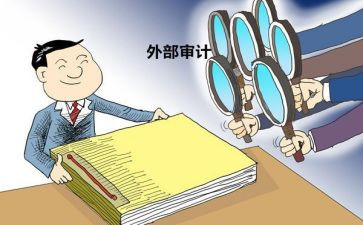 经责审计项目心得体会7篇
