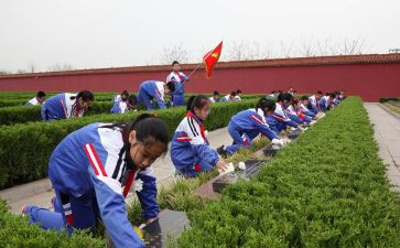 清明网上祭扫活动总结8篇