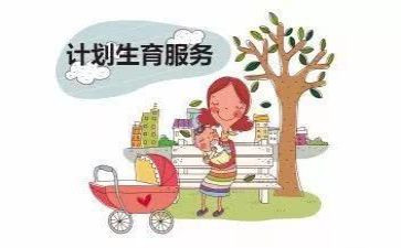 村计生协工作计划优质7篇