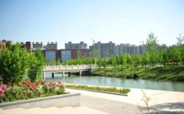 技术部工作总结及下半年工作计划8篇