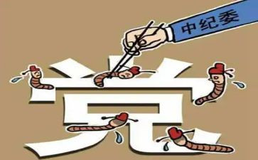 纪委个人总结6篇