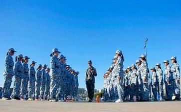 军训心得体会800范文7篇