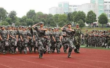军训心得体会800范文最新8篇