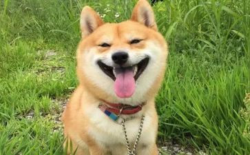 最开心的事作文600字8篇