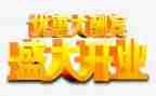 公司开业活动方案6篇