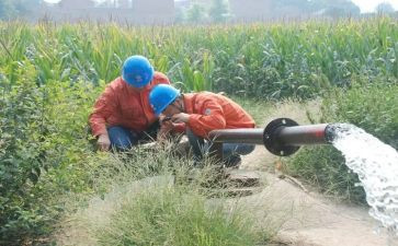 市抗旱工作总结6篇