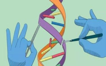 可怕的科学读后感6篇