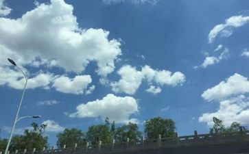 空气炮教案推荐6篇